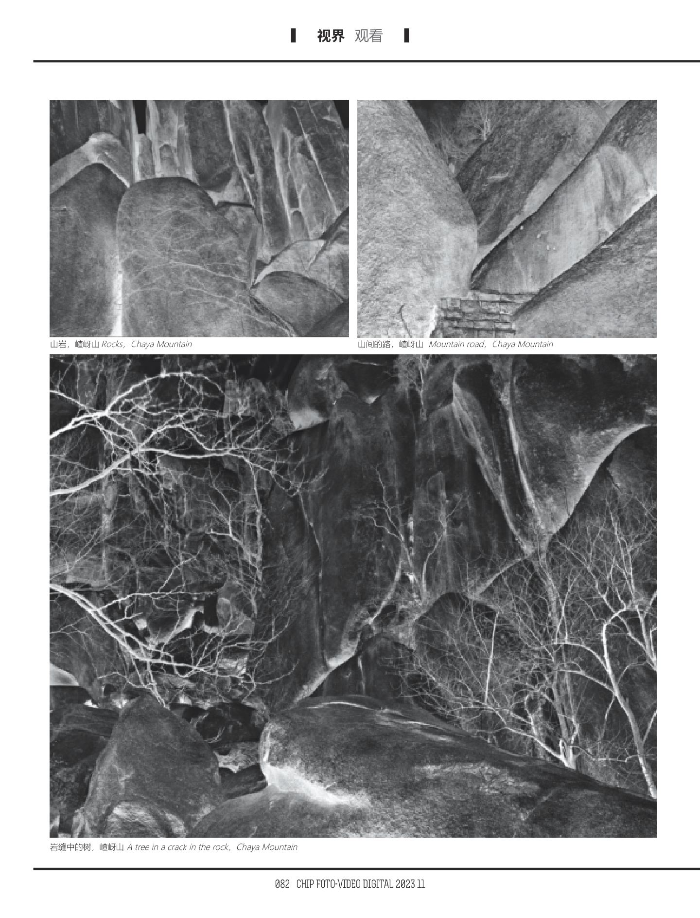 艺术当随时代 第 8 页