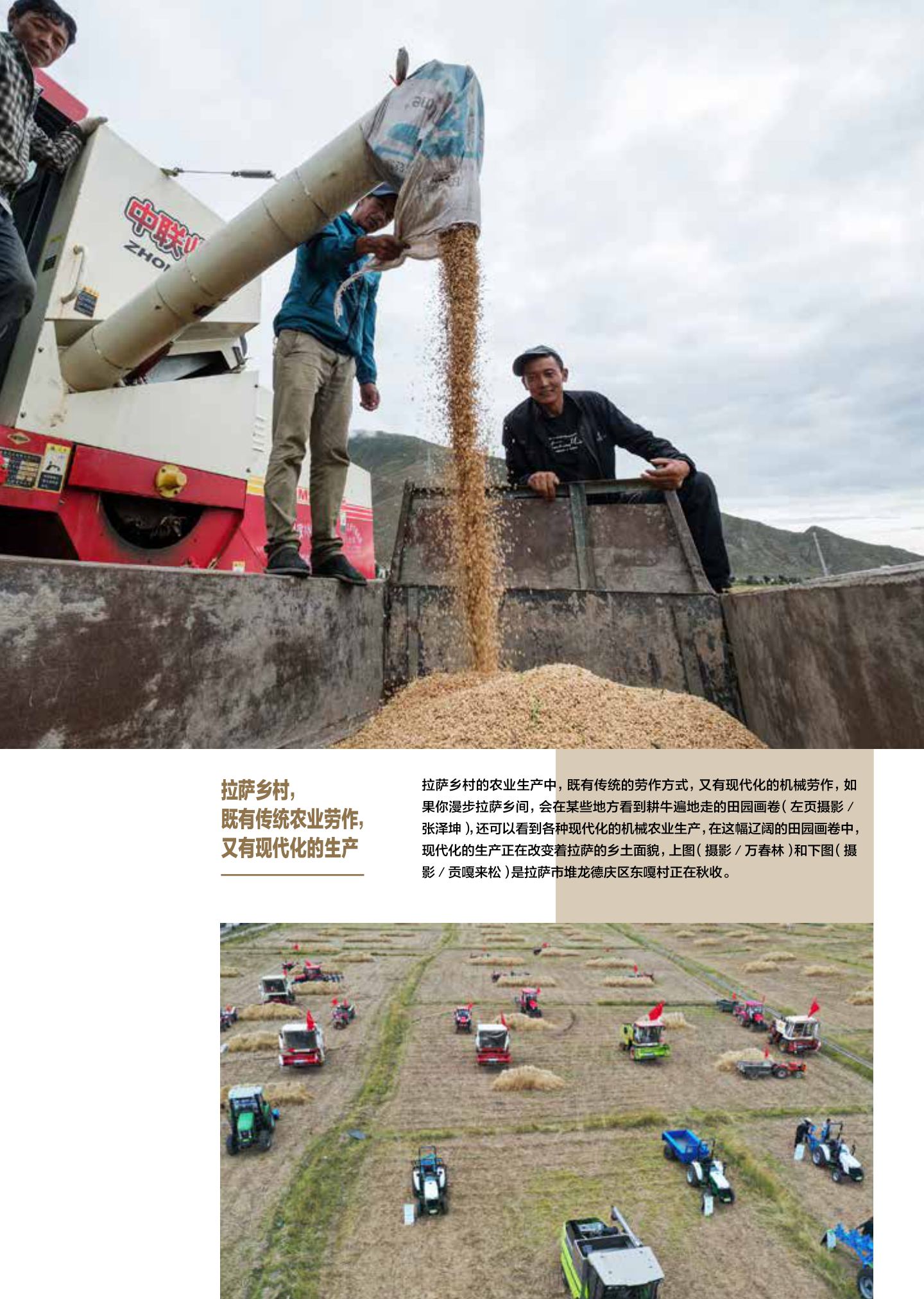 乡土拉萨：拉萨乡间生活 第 4 页