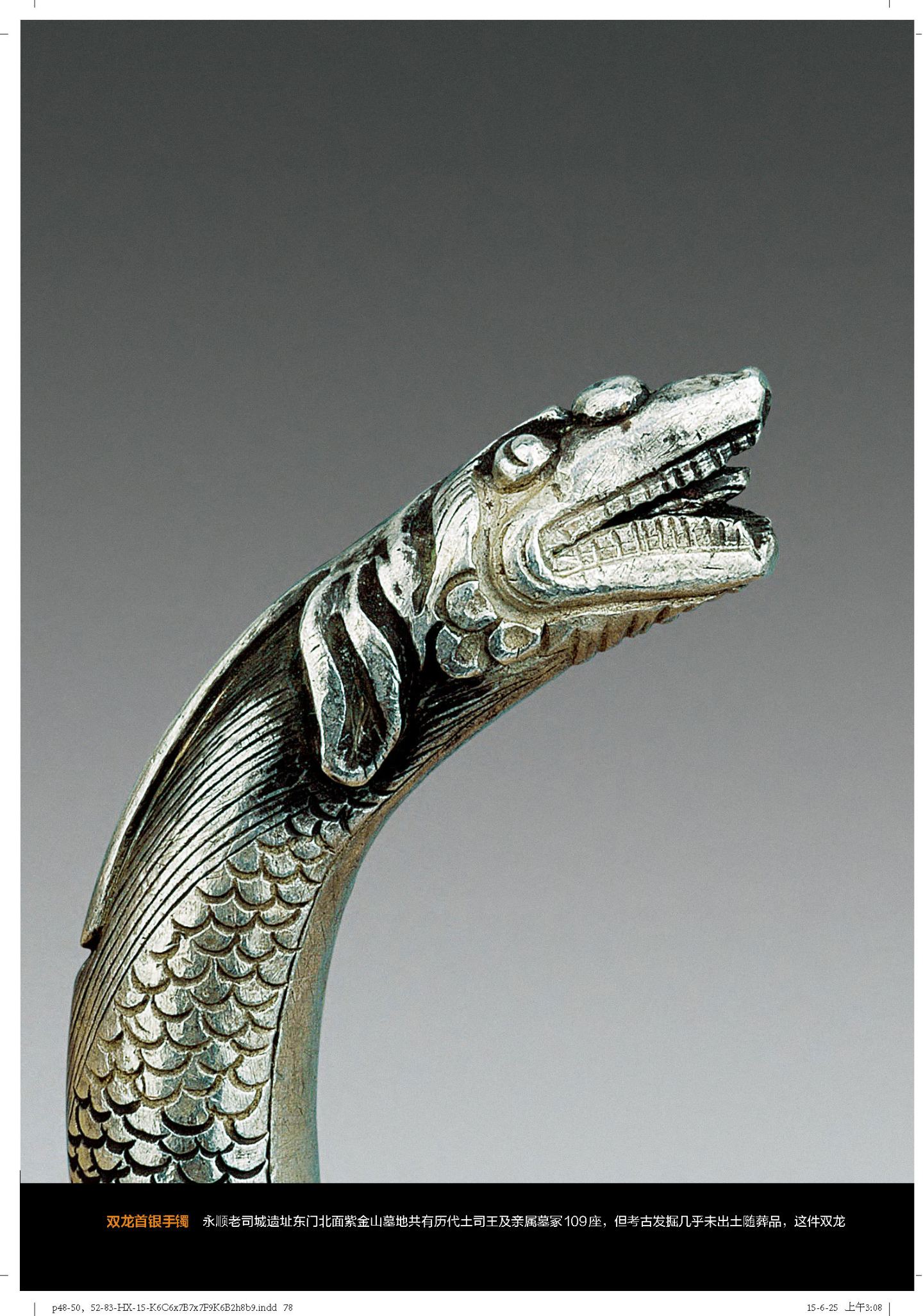 土司城 第 32 页