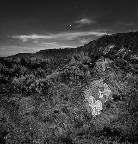Between the Silence of Things, black-and-white scenes of presence among trees, birds, water and wasteland