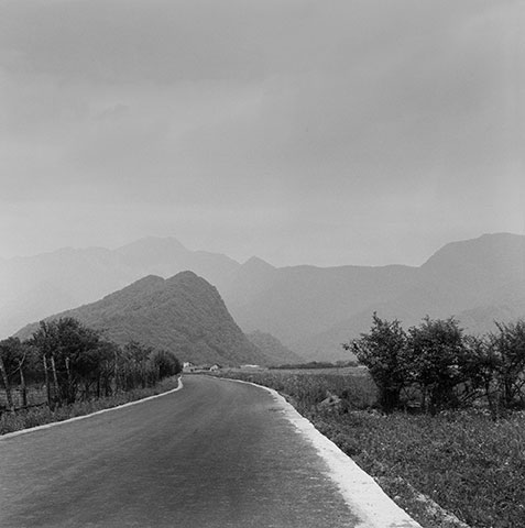 Between the Silence of Things, black-and-white scenes of presence among trees, birds, water and wasteland