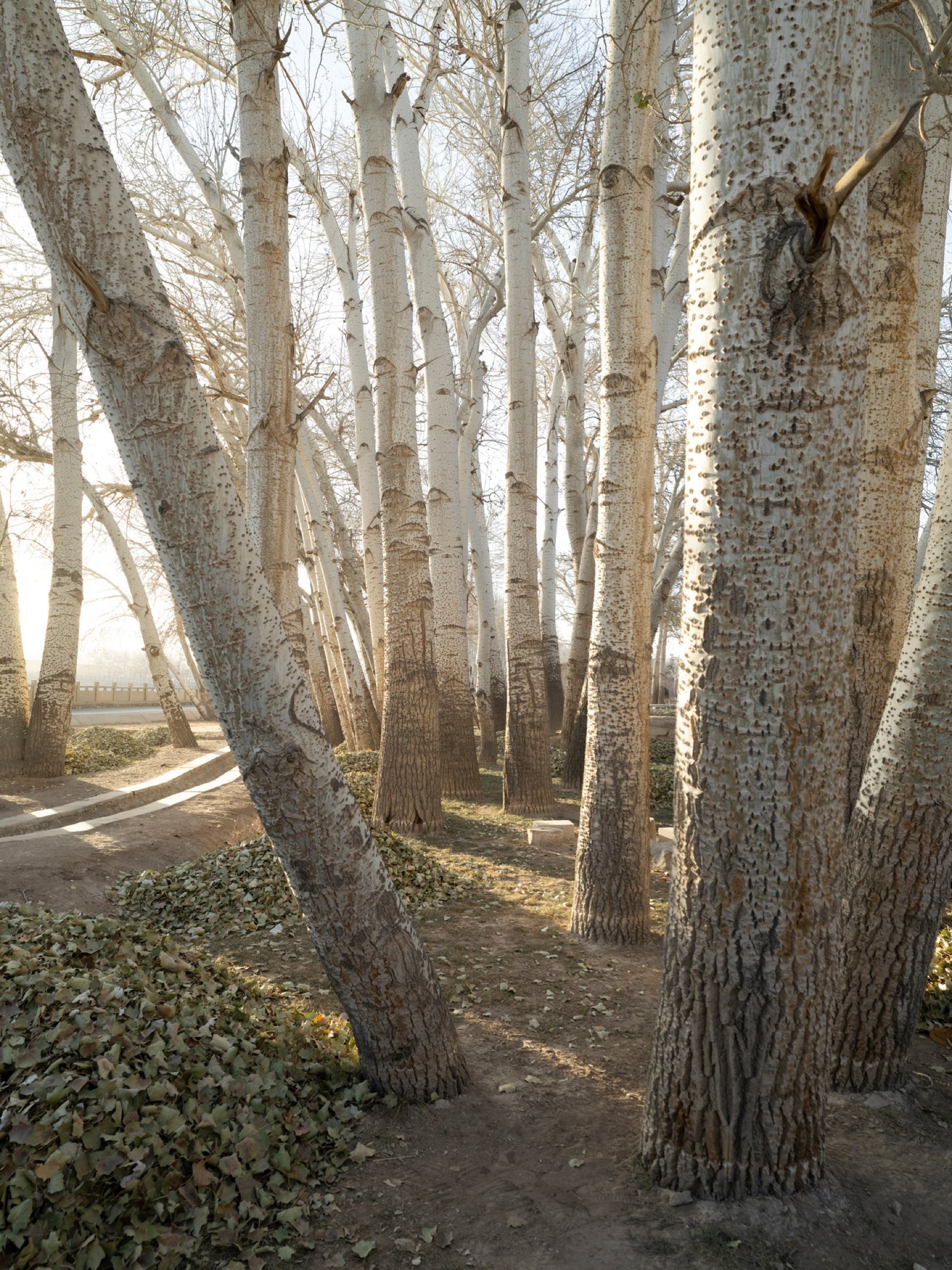 Abandoned Realm, a photographic series on abandoned spaces and traces of time