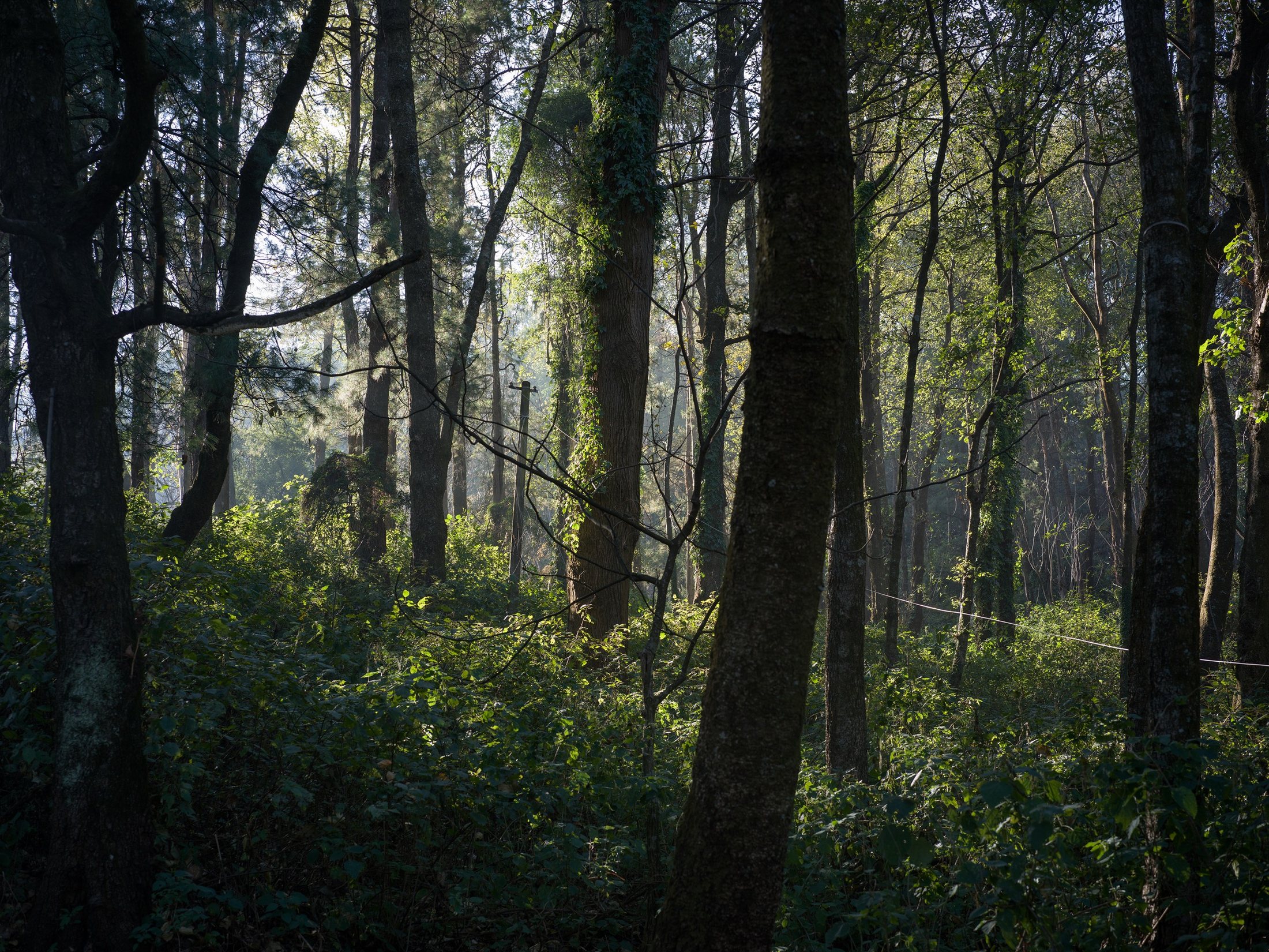 Abandoned Realm, a photographic series on abandoned spaces and traces of time