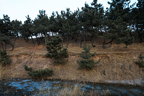 怎知是朝夕系列摄影，日常时间与生活纹理