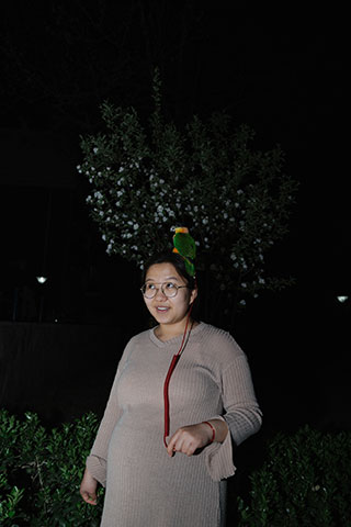 《牧心记》项目代表图