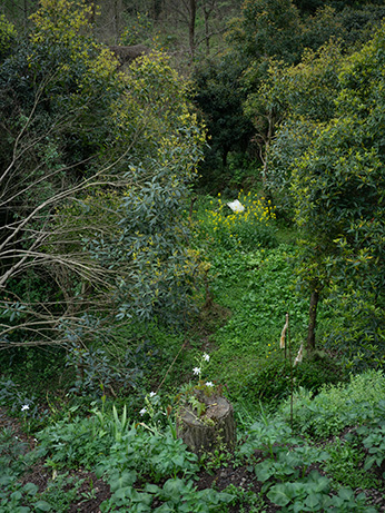 被遗弃之境系列摄影，废弃空间与时间痕迹