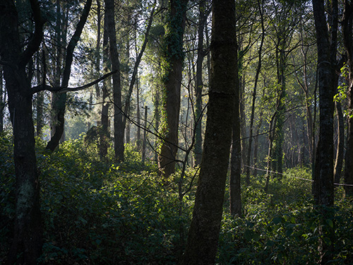 被遗弃之境系列摄影，废弃空间与时间痕迹