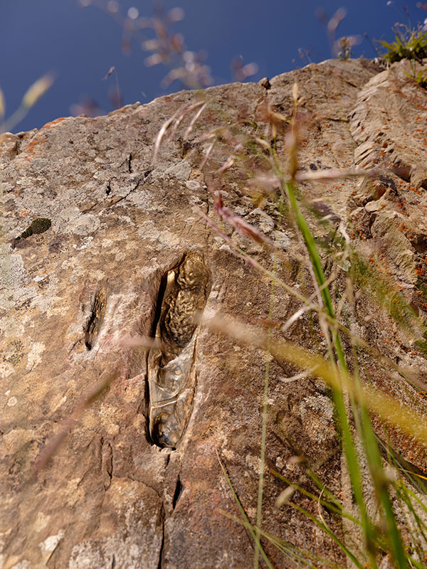 风与者系列摄影，人物与旷野风景关系